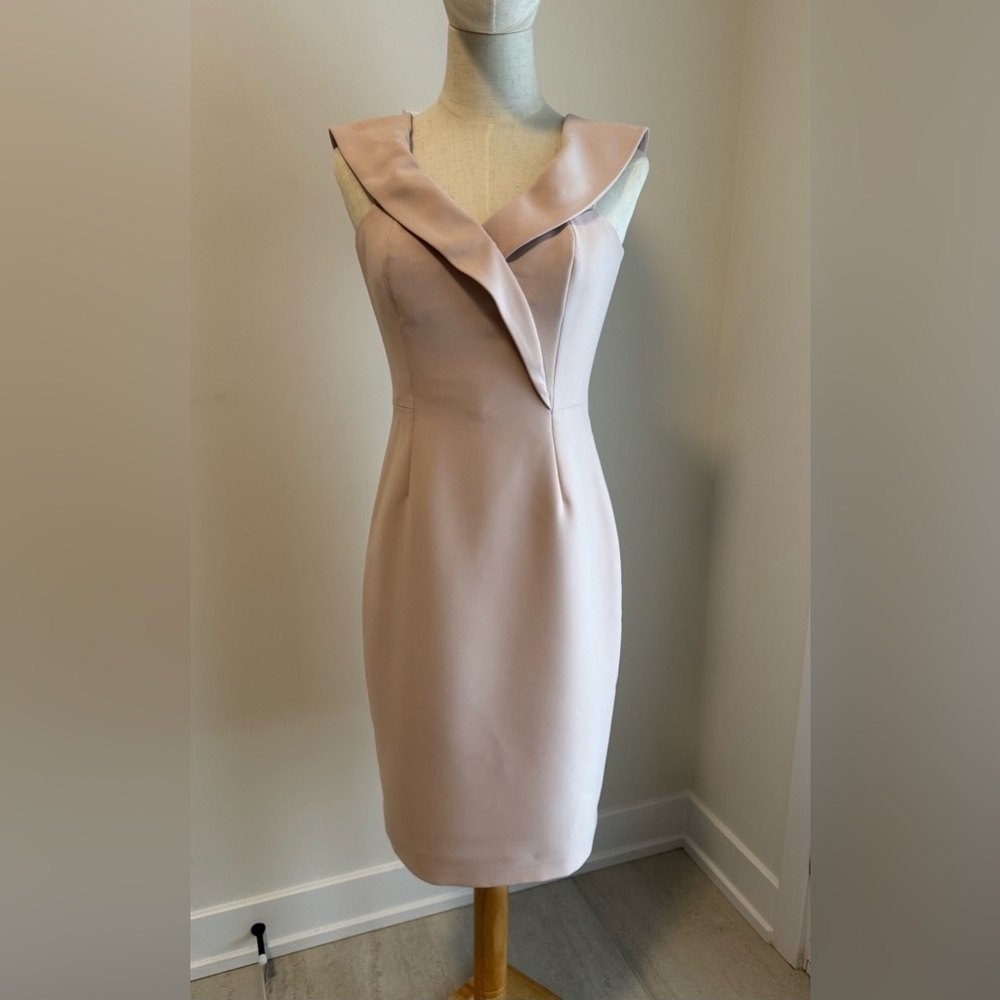 Reiss Strapless Blush Dress
(Item‎ #39)